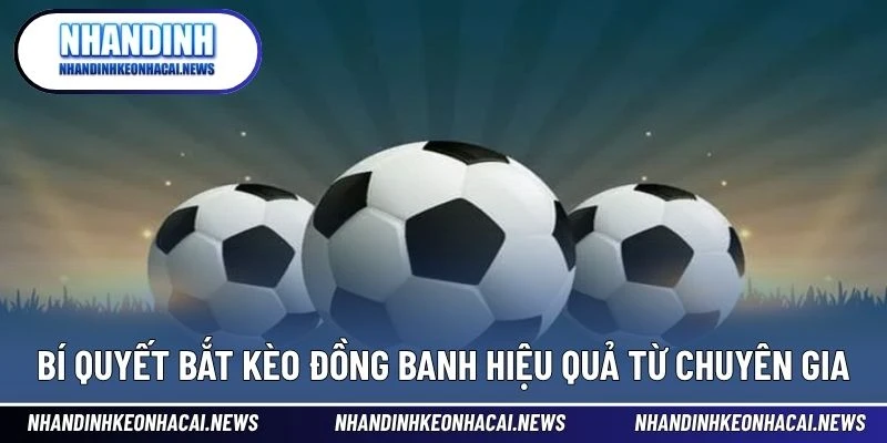 Kèo Đồng Banh – Phân Tích Chuẩn Xác Để Đặt Cược An Toàn 4 Bí quyết bắt kèo đồng banh hiệu quả từ chuyên gia
