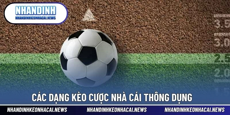 Kèo Nhà Cái 2 Các dạng kèo cược nhà cái thông dụng