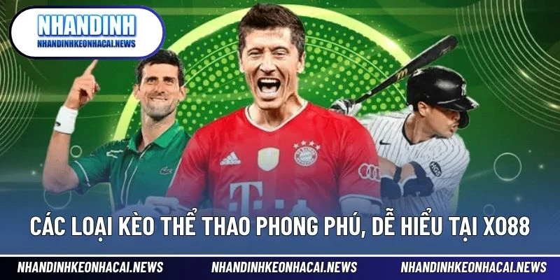 XO88 – Sân Chơi Thể Thao Đỉnh Cao Cho Người Mê Cá Cược 3 Các loại kèo thể thao phong phú, dễ hiểu tại XO88