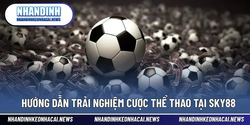 SKY88 – Cá Độ Thể Thao Sống Động Ngay Trong Tầm Tay 4 Cách chơi thể thao tại nhà cái dành cho người mới