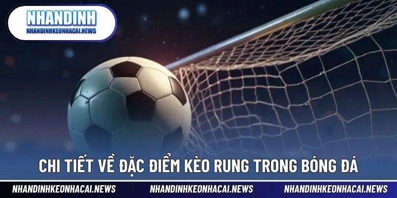 Kèo Rung Là Gì? Bí Quyết Bắt Kèo Rung Dễ Thắng Nhất 2025 3 Chi tiết về đặc điểm kèo rung trong bóng đá