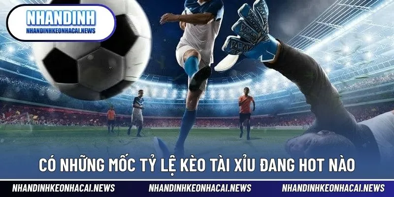 Tỷ Lệ Kèo Tài Xỉu - Những Mốc Đặt Cược Ấn Tượng Trong Bóng Đá 3 Có những mốc nào xuất hiện trong tỷ lệ Tài xỉu