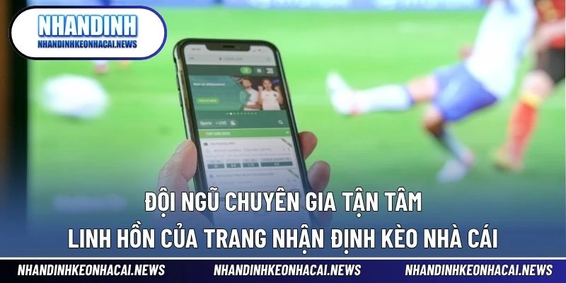 Giới Thiệu 4 Đội ngũ chuyên gia tận tâm – linh hồn của Trang Nhận định kèo nhà cái