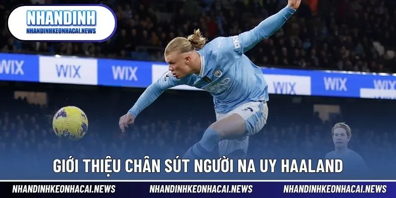 Haaland - Vua Phá Lưới Premier Với KHả Năng Ghi Bàn Đỉnh Cao 2 Giới thiệu chân sút đang làm mưa làm gió trời Âu