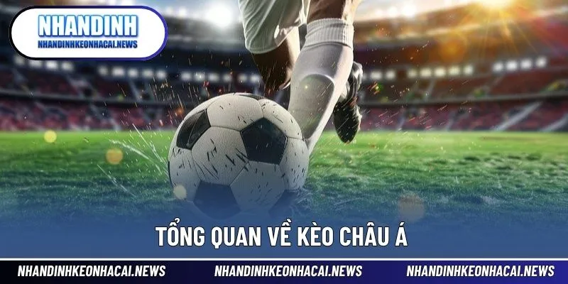 Kèo Châu Á - Hướng Dẫn Cách Chơi Từ Cơ Bản Đến Nâng Cao 2 Giới thiệu khái quát về loại kèo đặc trưng của châu Á