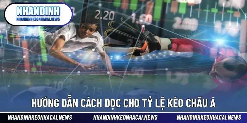 Tỷ Lệ Kèo Châu Á - Hướng Dẫn Đọc Hiểu Đơn Giản Khi Cá Cược 3 Hướng dẫn cách đọc đơn giản cho tỷ lệ cược châu Á
