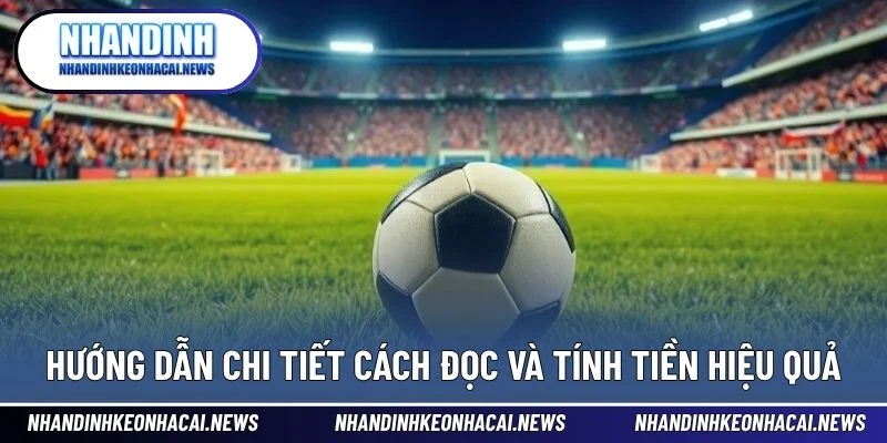 Kèo Chẵn Lẻ – Cách Chơi, Đọc Kèo Và Bí Quyết Thắng Cược 4 Hướng dẫn chi tiết cách đọc và tính tiền hiệu quả