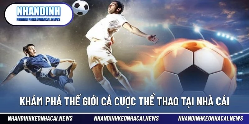 Vin88 – Sân Chơi Đỉnh Cao Cho Người Đam Mê Thể Thao 2 Khám phá thế giới cá cược thể thao tại nhà cái