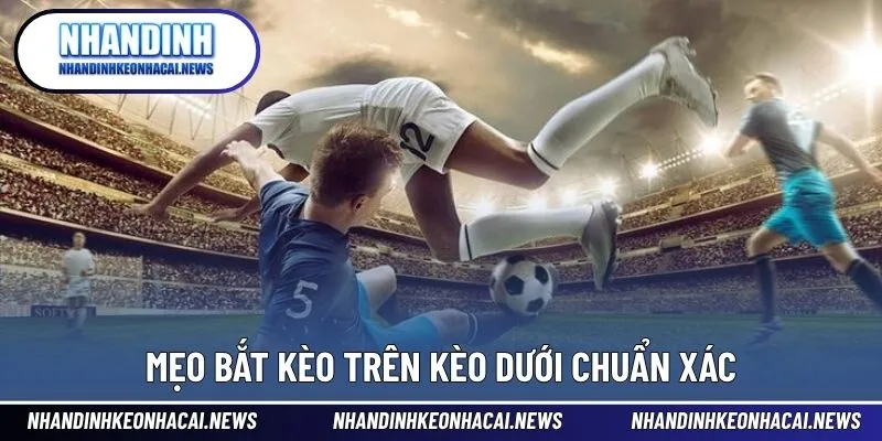 Kèo Trên Kèo Dưới - Cách Nhận Biết Và Đặt Cược Hiệu Quả 4 Kinh nghiệm thực tế giúp gia tăng cơ hội thắng cược bóng đá