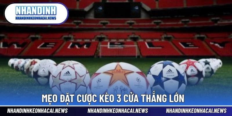 Kèo 3 Cửa Là Gì – Dạng Cược Dễ Hiểu Cho Người Mới Bắt Đầu 4 Mẹo đặt cược Kèo 3 cửa thắng lớn