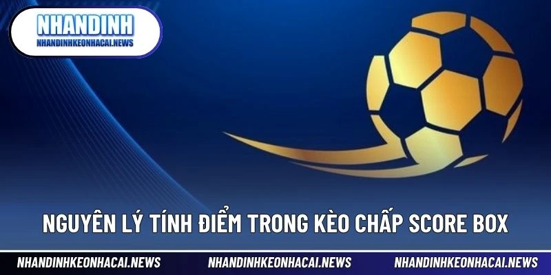 Kèo Chấp Score Box - Cách Hiểu Mới Giúp Tăng Tỷ Lệ Thắng Cao 3 Nguyên lý tính điểm trong kèo chấp Score Box