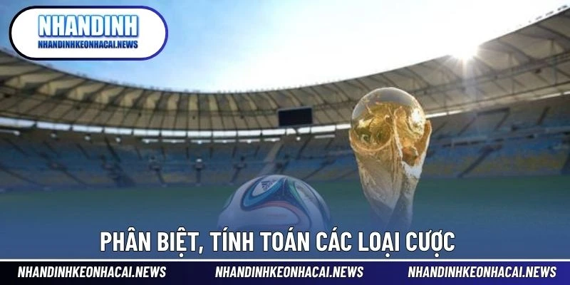 Kèo Tổng Số Bàn Thắng – Dạng Cược Dựa Trên Phong Độ Hàng Công 3 Phân biệt, tính toán các loại cược