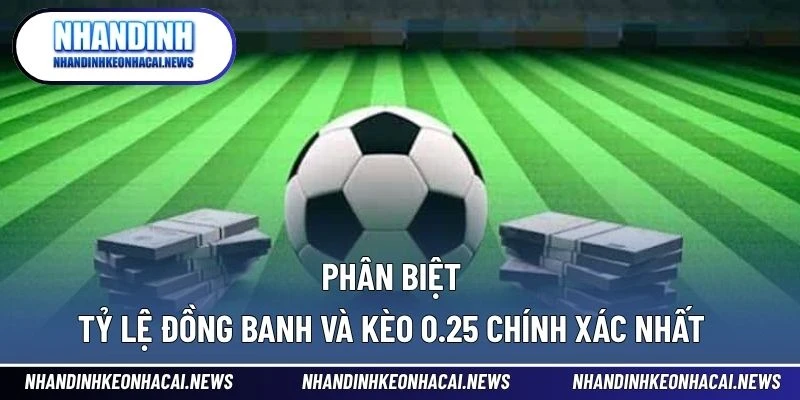 Kèo Đồng Banh – Phân Tích Chuẩn Xác Để Đặt Cược An Toàn 3 Phân biệt tỷ lệ đồng banh và kèo 0.25 chính xác nhất