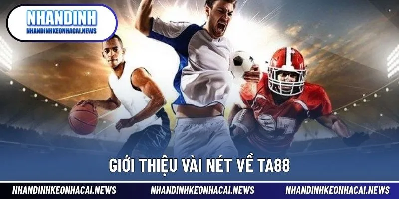 TA88 – Nhà Cái Thể Thao Chất Lượng Với Trải Nghiệm Đỉnh Cao 2 Sân chơi cá cược hiện đại, an toàn và thân thiện