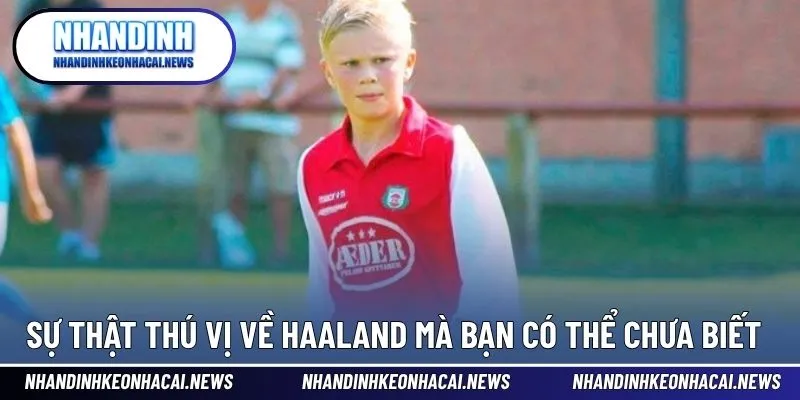 Haaland - Vua Phá Lưới Premier Với KHả Năng Ghi Bàn Đỉnh Cao 4 Sự thật thú vị về tiền đạo cắm hàng đầu thế giới hiện tại