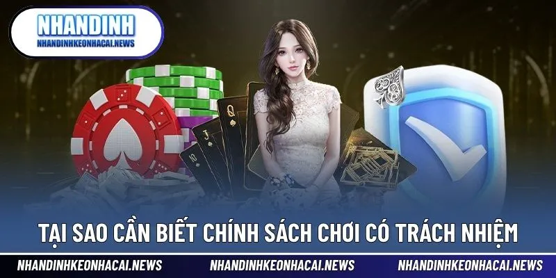 Chơi Có Trách Nhiệm 2 Tại sao nên có trách nhiệm khi tham gia cá cược
