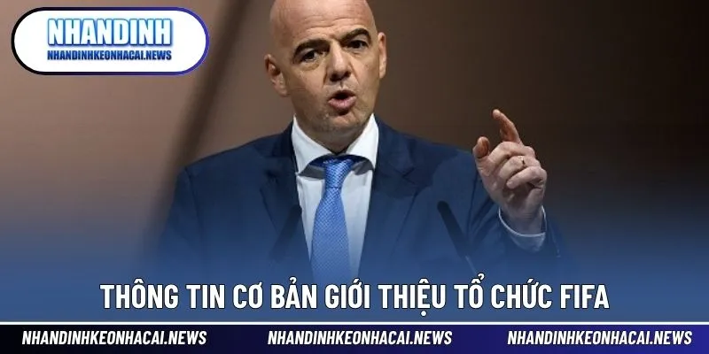Tổ Chức FIFA - Liên Đoàn Bóng Đá Lớn Nhất Thế Giới? Ai Đứng Đầu? 2 Thông tin cơ bản giới thiệu tổ chức quản lý thể thao Vua