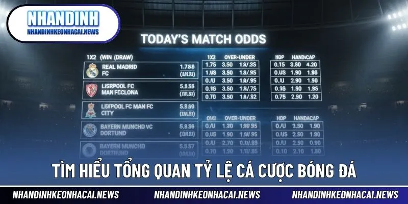 Tỷ Lệ Cá Cược Bóng Đá - Bí Quyết Vàng Soi Kèo Thắng Lớn 2 Tìm hiểu tổng quan tỷ lệ cá cược bóng đá