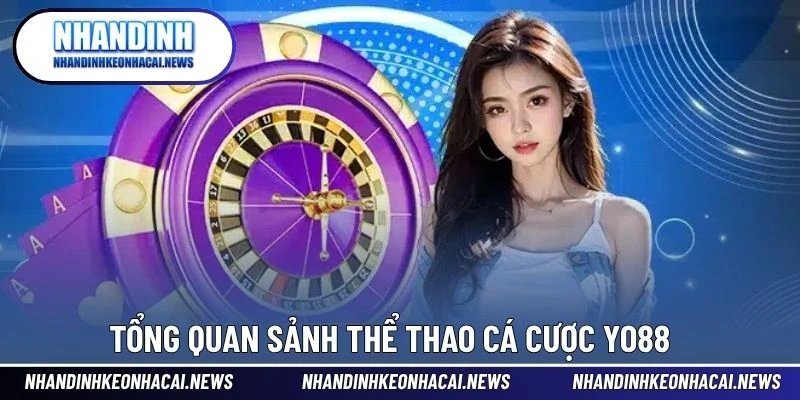 YO88 – Nhà Cái Cá Cược Thể Thao Hiện Đại Với Tỷ Lệ Cực Cao 2 Tổng quan sảnh thể thao cá cược YO88