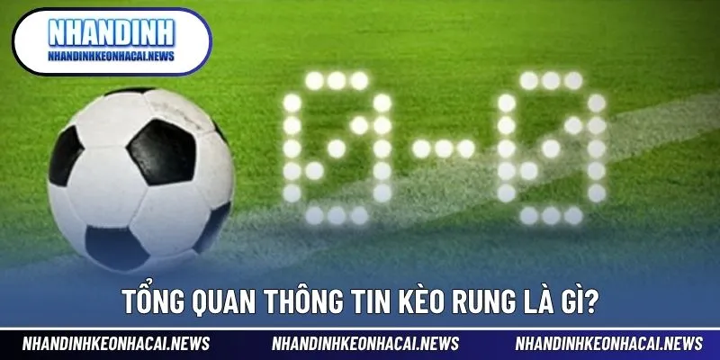 Kèo Rung Là Gì? Bí Quyết Bắt Kèo Rung Dễ Thắng Nhất 2025 2 Tổng quan thông tin kèo rung là gì?