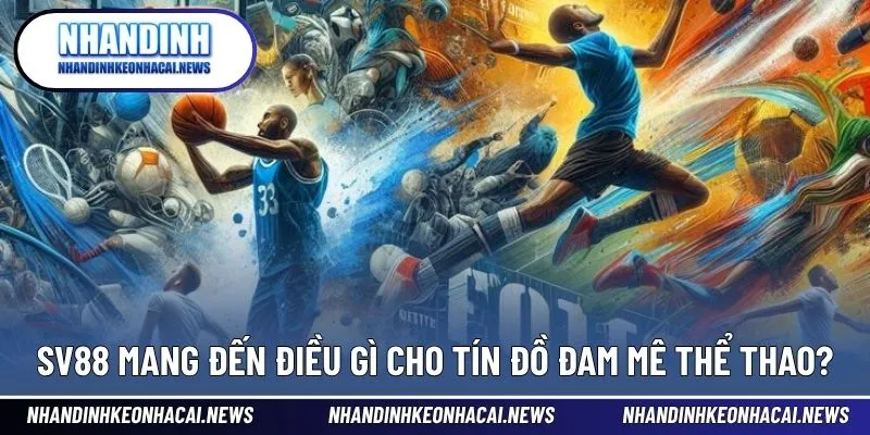 SV88 – Thế Giới Cá Cược Thể Thao Uy Tín Và Chuyên Nghiệp 3 Trải nghiệm cá cược thể thao đỉnh cao tại thương hiệu hàng đầu