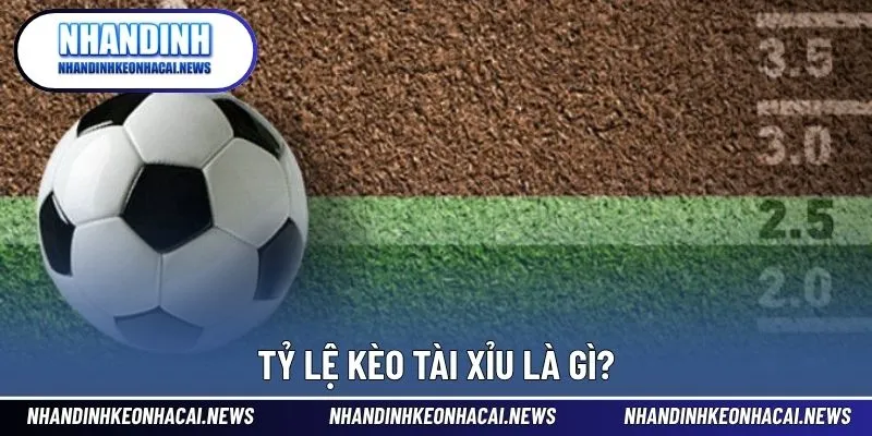 Tỷ Lệ Kèo Tài Xỉu - Những Mốc Đặt Cược Ấn Tượng Trong Bóng Đá 2 Giải thích tỷ lệ kèo tài xỉu ấn tượng trong bóng đá