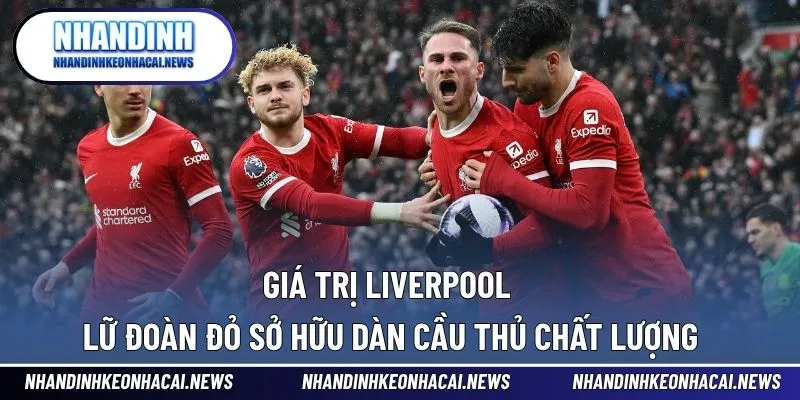 Giá Trị Liverpool - Lữ Đoàn Đỏ Sở Hữu Dàn Cầu Thủ Chất Lượng 1 Giá trị Liverpool